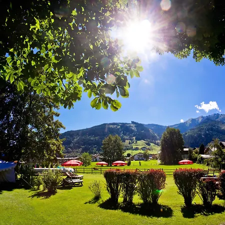 Mitteregger - Place In Town