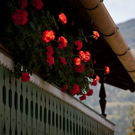Mitteregger -best Place In Town With Summercard And Breakfast Kaprun