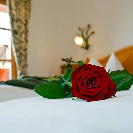 Hotel Mitteregger -best Place In Town With Summercard And Breakfast