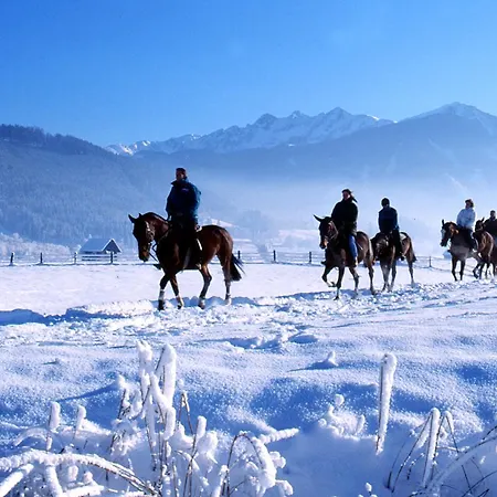 Mitteregger - Place In Town Hotel 3*